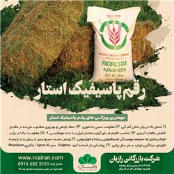 Pacific Star بذر یونجه