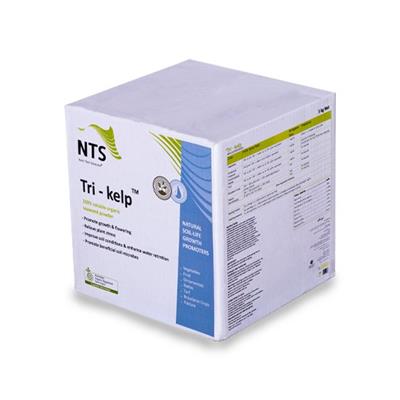 جلبک دریایی Tri Kelp